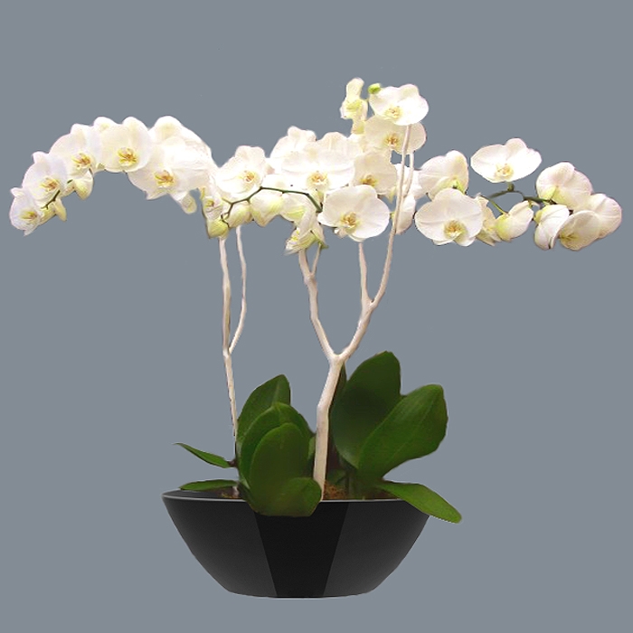 Cache pot magnétique alinea Cache pot magnétique alinea